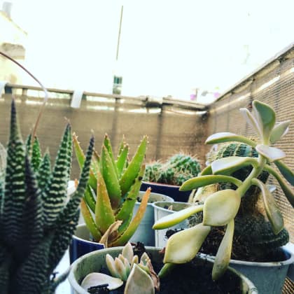 test2