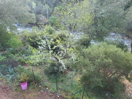 test2