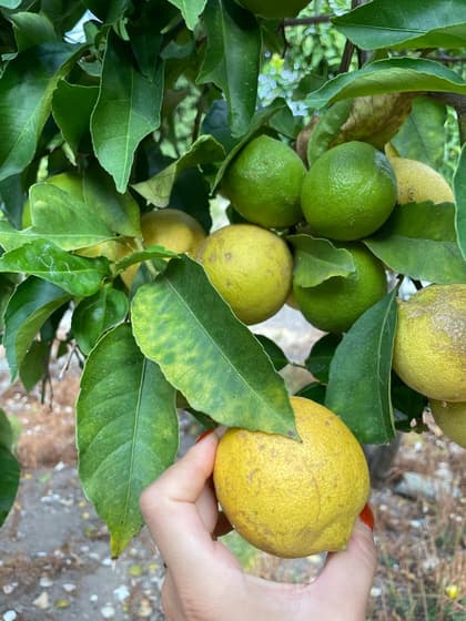 test2