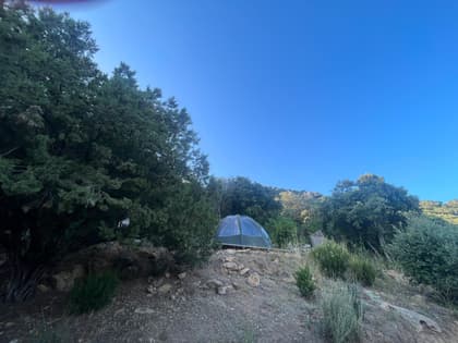 test2