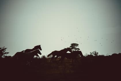 test2