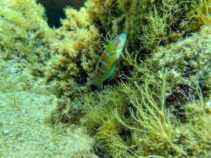 test2