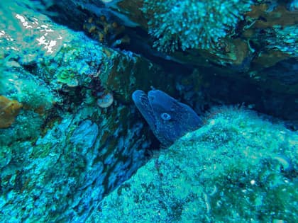 test2